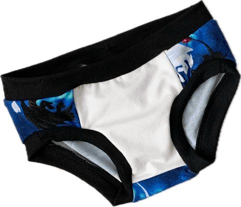 Five-Pack Underwear Briefs (sizes 2T-12)