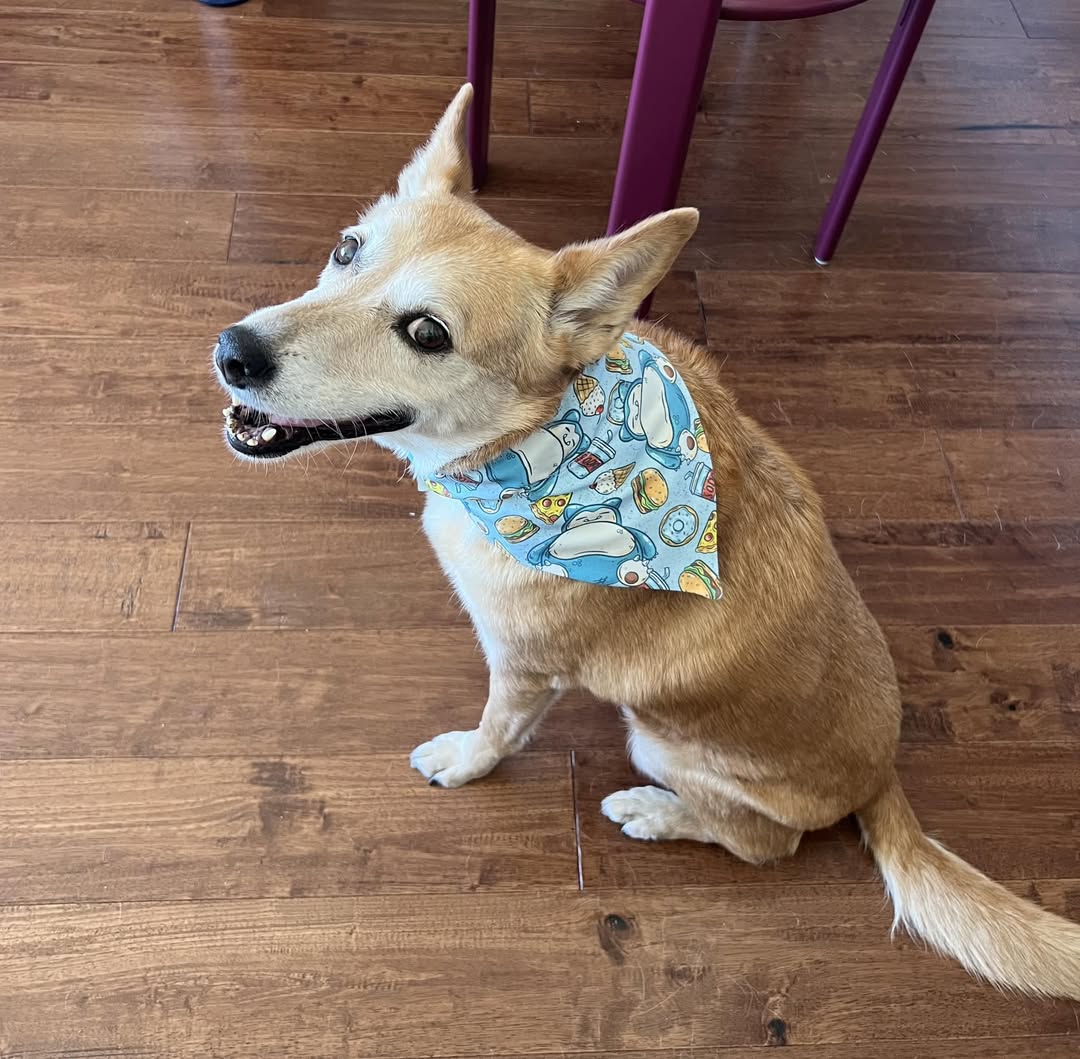 Snoring Pocket Monster Pet Scarf
