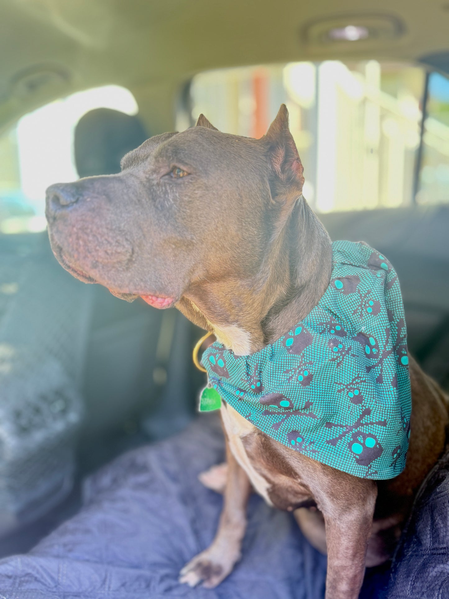 Emo Skulls Over-the-Collar Bandana