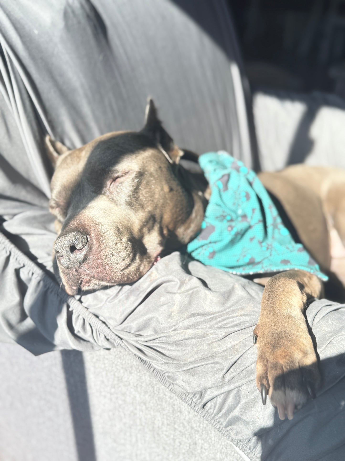 Emo Skulls Over-the-Collar Bandana