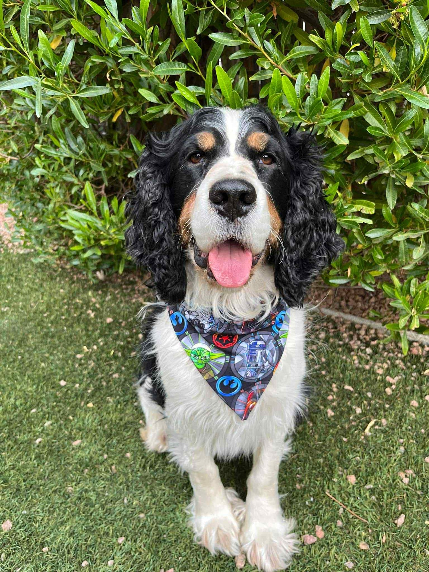 Halloween Costume Doodles Pet Scarf