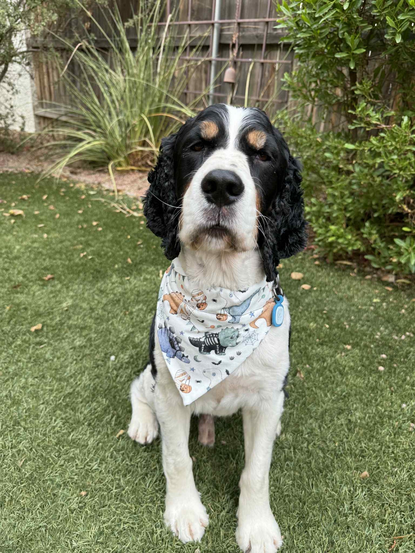 Dino Halloween Pet Scarf