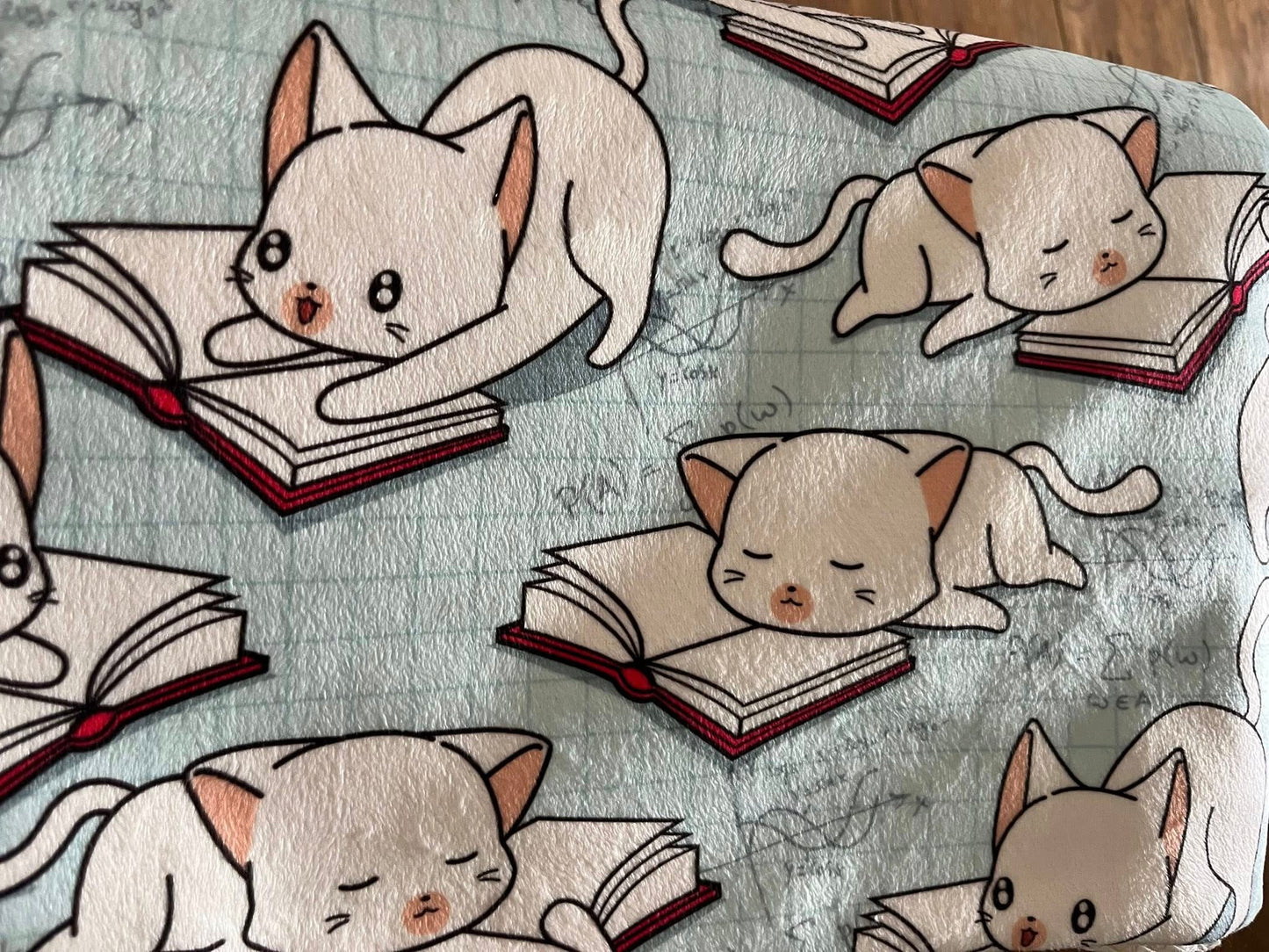 60"x80" School House-Inspired Sherpa Blanket