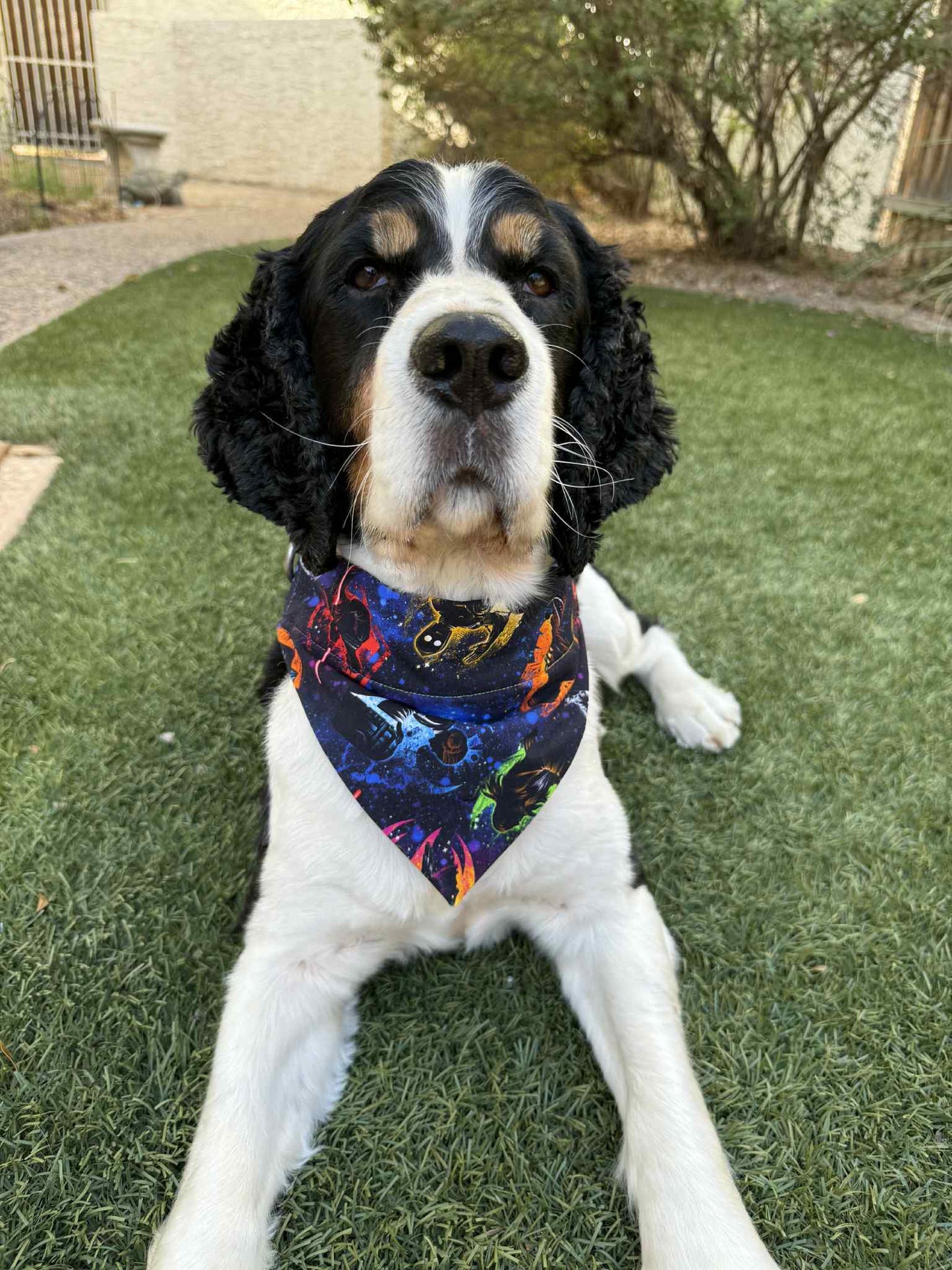 SW Silhouettes Pet Scarf