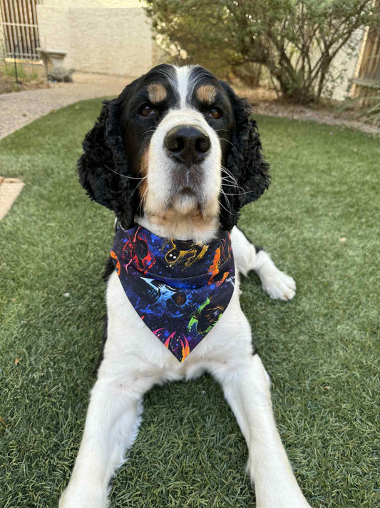 SW Silhouettes Pet Scarf