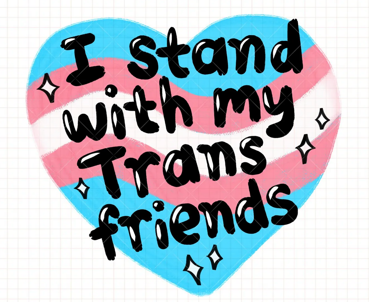 I Stand with my Trans Friends Sticker